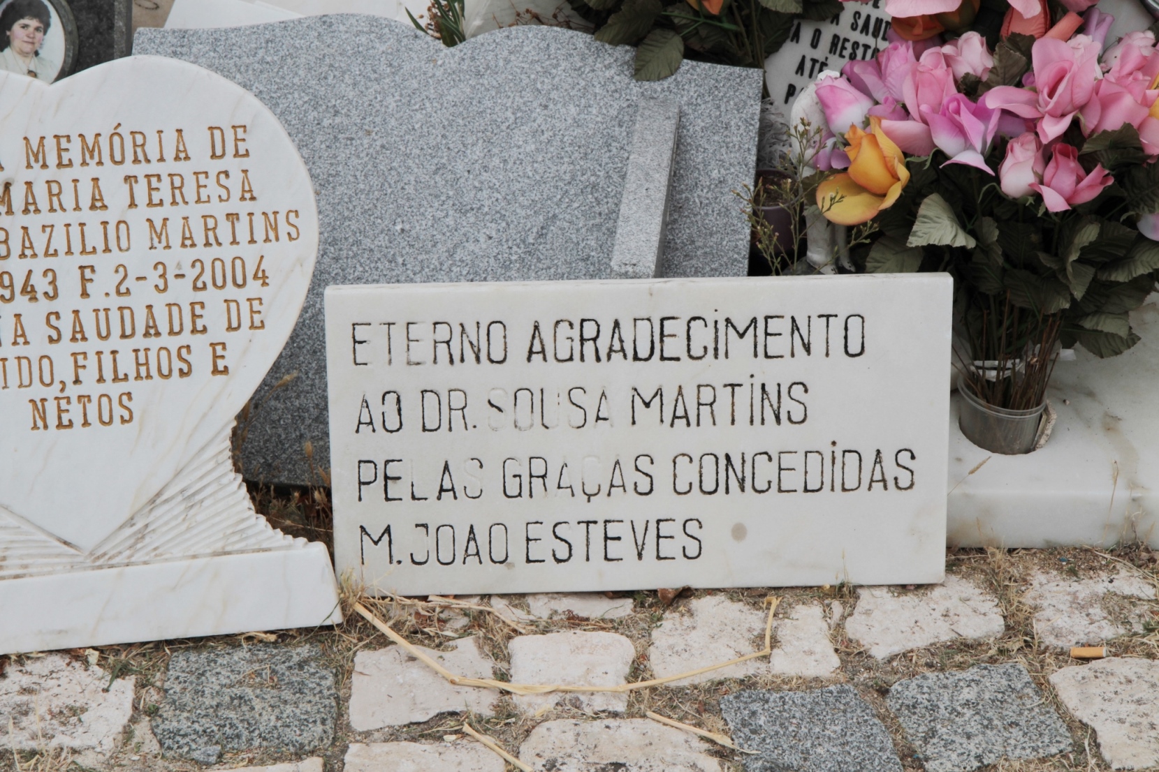 José Tomás de Sousa Martins' statue, Lisbon - 13.JPG